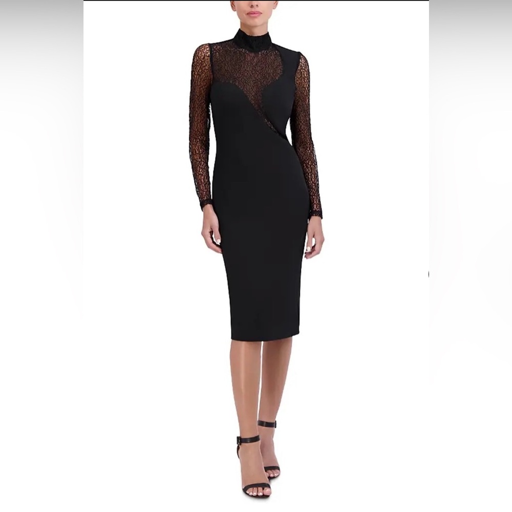 Elegant Black Lace Sleeve Dress